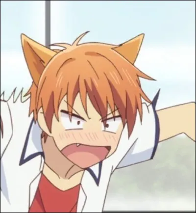 De la famille Soma, dans "Fruit Basket". Qui est-ce ?