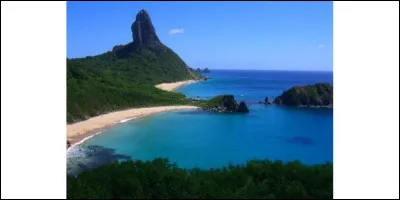 Dans quel pays le mouvement culturel appelé tropicalisme est-il apparu ?