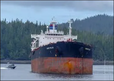 Quel navire pétrolier a fait naufrage en 1999 ?