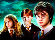 Test Test 1 - Une image de ''Harry Potter'' selon ton mois de naissance