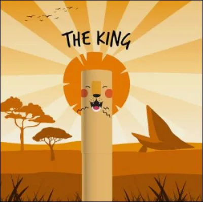 Quelle image préfères-tu ?