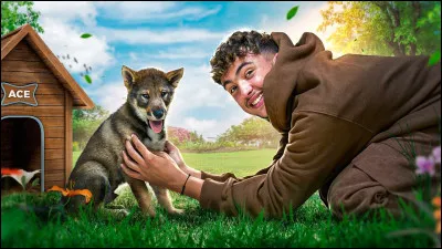 Quel est le nom de son chien ?