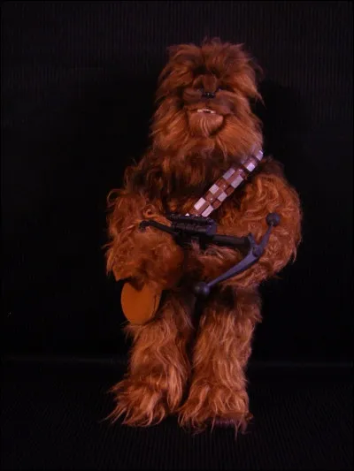 Quels sont les personnages qui aident Leia à faire la guerre ?