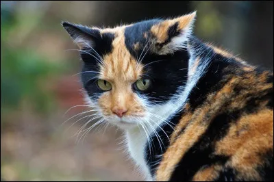 Un proche meurt, que fais-tu ?