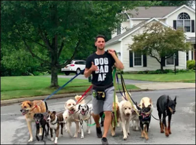 Pourrais-tu aller promener ton chien tous les matins à 7 h et ramasser ses crottes sur le chemin ?