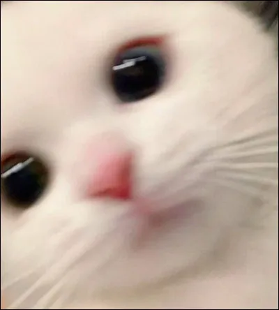 As-tu hâte de voir le résultat ?