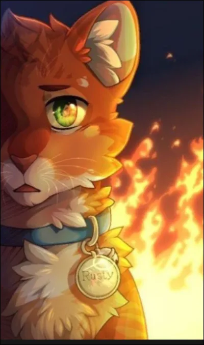 Un jour, un feu se propage sur ton clan alors que cest la nuit ; que fais-tu ?