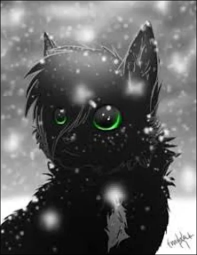 Un des lapins de ton clan est empoisonné, que fais-tu ?