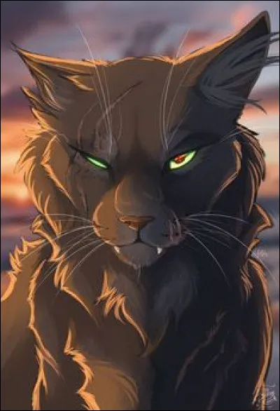 Un apprenti devient aveugle et ne peut plus devenir guerrier, que fais-tu ?