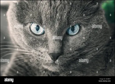 Qui est le fondateur du clan du Ciel ?