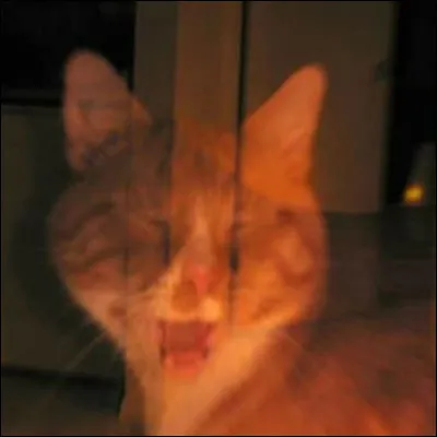 Qui est le fondateur du clan des Étoiles ?