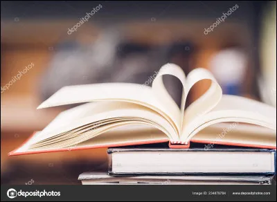 Quel est ton style de romans préféré ?