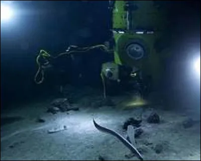 En quelle ann&eacute;e James Cameron a-t-il explor&eacute; la fosse ?