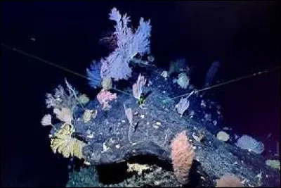 De combien de fois la pression ressentie au fond de la fosse des Mariannes est-elle sup&eacute;rieure &agrave; celle ressentie &agrave; la surface de l'eau ?