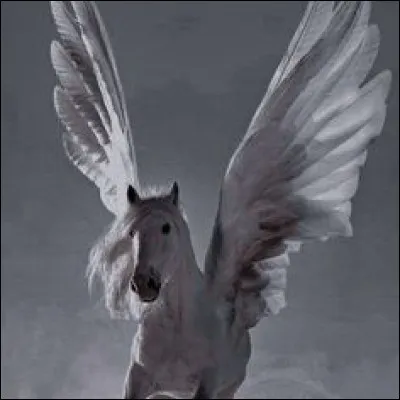 Aimes-tu les créatures magiques (sorcières, dragons, vampires, etc.) ?