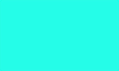 À quelle couleur se réfère l'adjectif "turquoise" ?