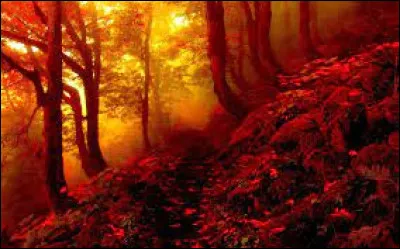 Quelle actrice accompagne Alain Delon et Charles Bronson dans le film "Soleil rouge" ?