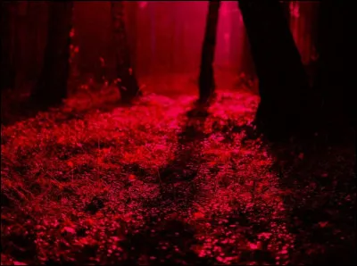 À quelle équipe de football les maillots rouges et noirs appartient-ils ?