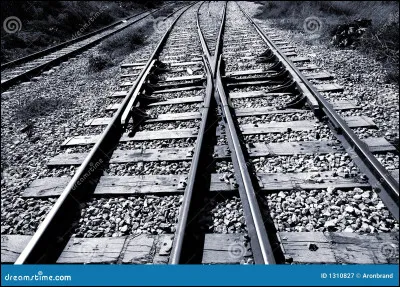 Quel écrivain est l'auteur du récit autobiographique "Sur les chemins noirs" ?