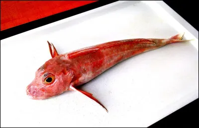 Quelle est la proie favorite d'&Eacute;toile de Feu ?