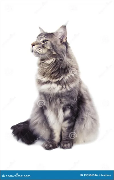 Tu vois que quelqu'un t'aime bien. Comment r&eacute;agis-tu ?