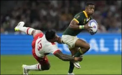 Quel a été le score d'Afrique du Sud - Tonga ?