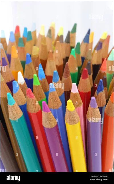 Complétez : Ce sont ___ crayons, je vais lui rendre.