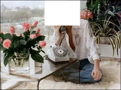 Quelle actrice incarne le personnage de Christine dans le film d'Édouard Molinaro ''Le Téléphone rose'' ?