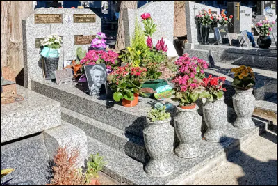 En quelle année est mort Georges Brassens ?