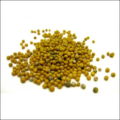 Quel est le nom de cette épice ?