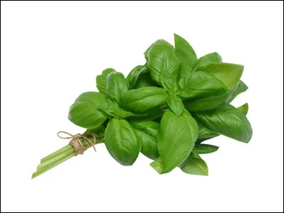 Quel est le nom de cette épice ?