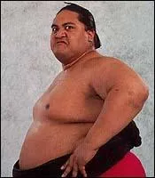 Quel est le finisher de Yokozuna ?