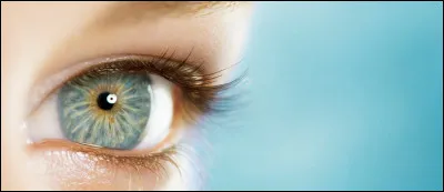Tu as les yeux...