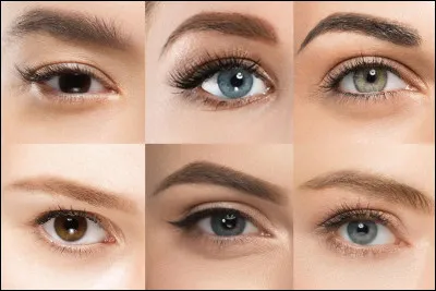 Quelle est la forme de tes yeux ?