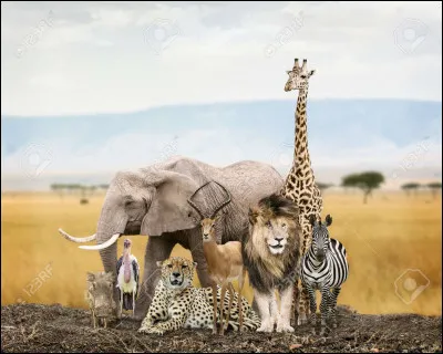 En quelle matière scolaire pouvons-nous étudier les animaux ?