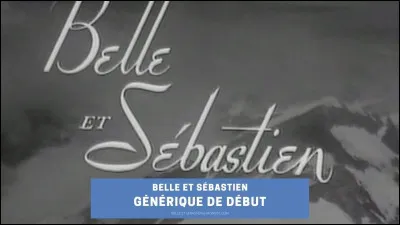 Dans ''Belle et Sébastien'', quel animal est Belle ?