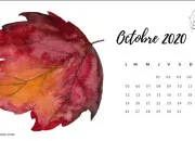 Quiz Octobre