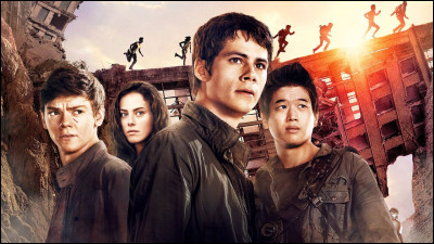 Pourrais-tu survivre dans "La Terre brûlée" ?