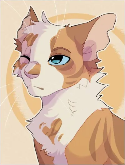 Quel est le nom qu'Étoile Bleue comptait donner à Nuage Blanc ?