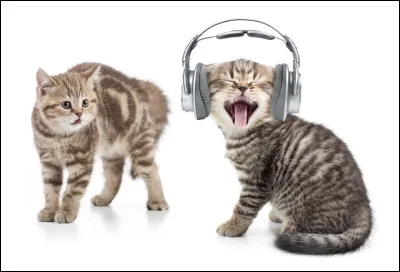 Tu préfères écouter