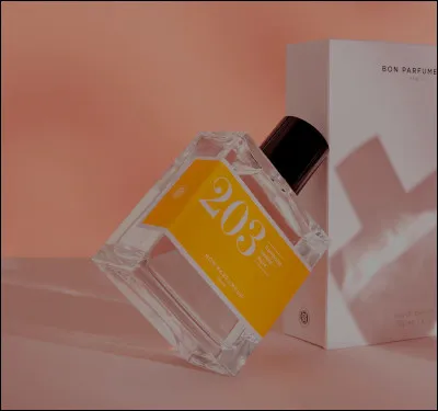 Lequel de ces livres préfères-tu ?