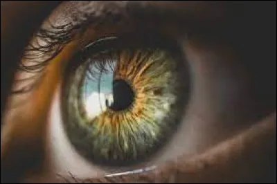 Les yeux se retrouvent-ils associés à une expression signifiant la convoitise ?