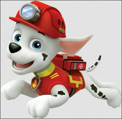 Comment s'appelle le dalmatien dans "Pat'Patrouille" ?
