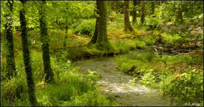 Qui chante ''ce petit chemin qui sent la noisette'' ?