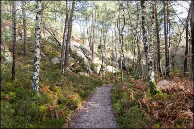 Dans quel département se situe la forêt de Fontainebleau ?
