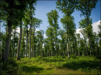 En quelle année a été créé l'Office national des forêts ?