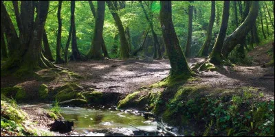Dans quelle région française se trouve la forêt de Brocéliande ?