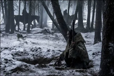 Dans quel film Léonardo DiCaprio tente de survivre dans une forêt sauvage d'Amérique ?