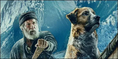 Dans le roman ''L'Appel de la forêt'', quel est le nom du chien ?