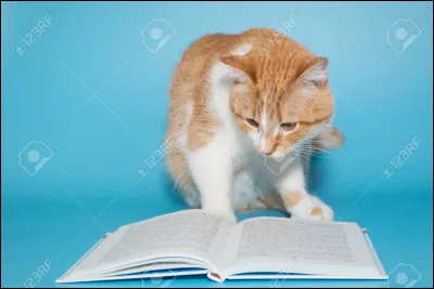 Quelle est ta mati&egrave;re pr&eacute;f&eacute;r&eacute;e ? (1)